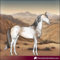Horse Color:White Spotted Buckskin Splash 