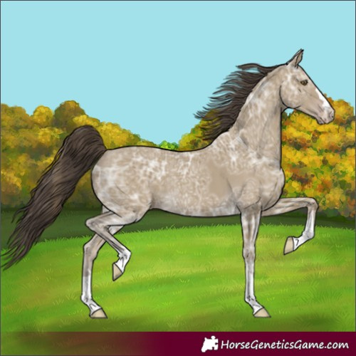Horse Color:Classic Cream Champagne Ice 