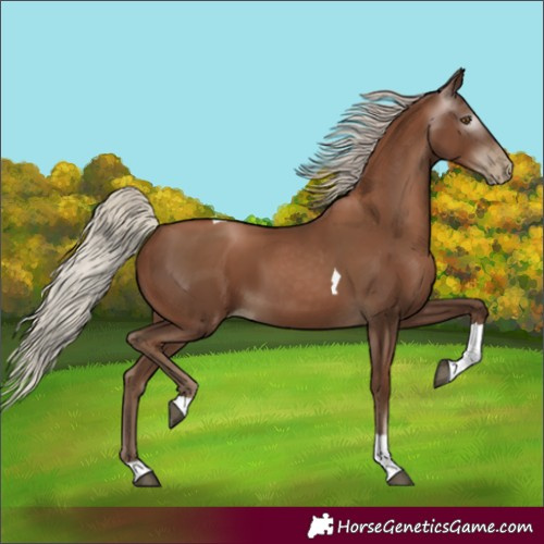 Horse Color:Gray Silver Black Pearl Tobiano