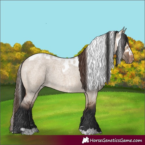 Horse Color:Brown Roan Dun Skewed LP Spotted 