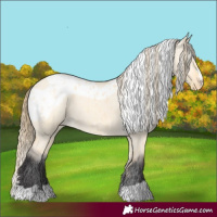 Horse Color:Buckskin Dun Skewed LP Spotted