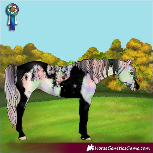 Horse Color:Powder White Void Nacre Perlino Tobiano 