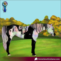 Horse Color:Powder White Void Nacre Perlino Tobiano 