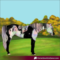 Horse Color:Powder White Void Nacre Perlino Tobiano