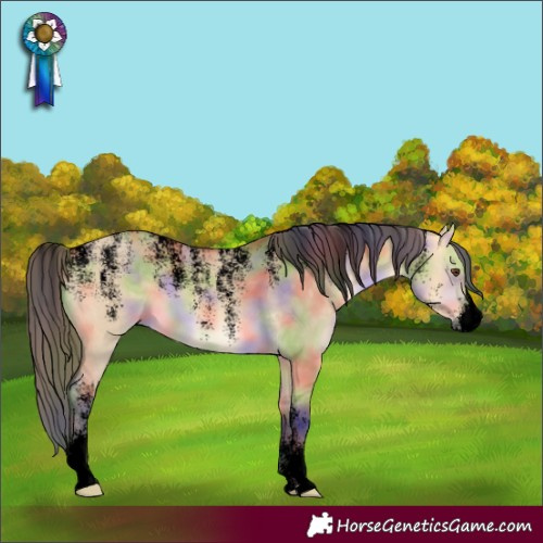 Horse Color:Powder White Void Nacre Buckskin Dun 