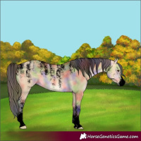 Horse Color:Powder White Void Nacre Buckskin Dun