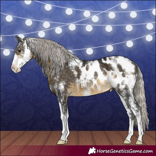 Horse Color:Silver Buckskin Sabino Appaloosa Rabicano 