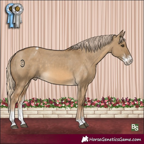 Horse Color:Chocolate Palomino Dun Sabino Varnish