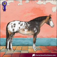 Horse Color:Buckskin Sabino Blanket