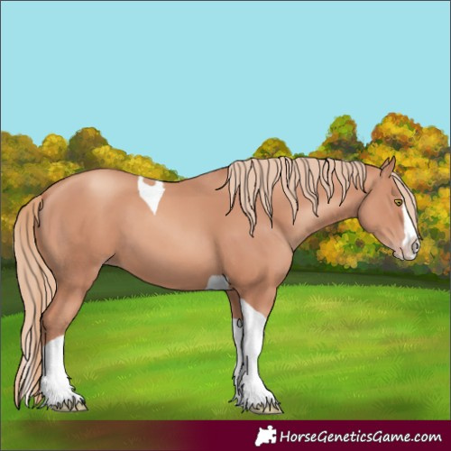 Horse Color:Gold Champagne Splash Tobiano 