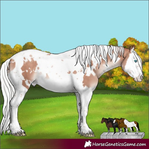 Horse Color:White Spotted Silver Sable Champagne Mushroom Splash Tobiano 