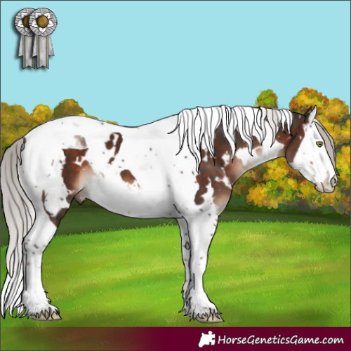 Horse Color:White Spotted Silver Brown Mushroom Splash Tobiano 