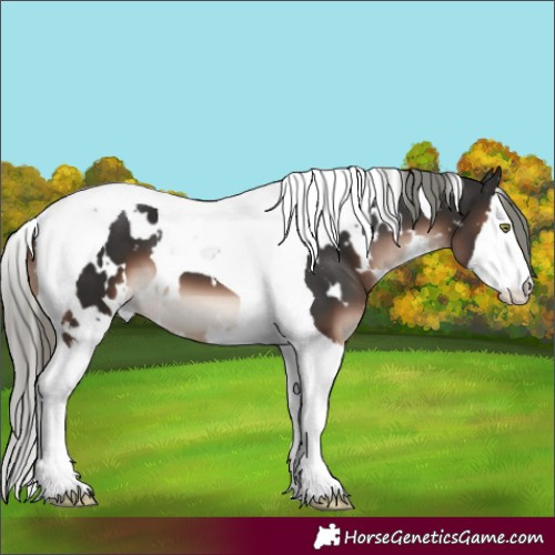Horse Color:White Spotted Liver Chestnut Mushroom Splash Tobiano