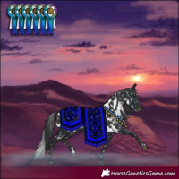 Horse Color:Black Skewed Appaloosa