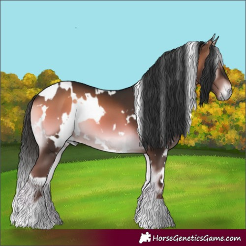 Horse Color:White Spotted Liver Red Onyx 