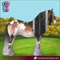 Horse Color:White Spotted Liver Red Onyx