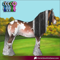 Horse Color:White Spotted Liver Red Onyx