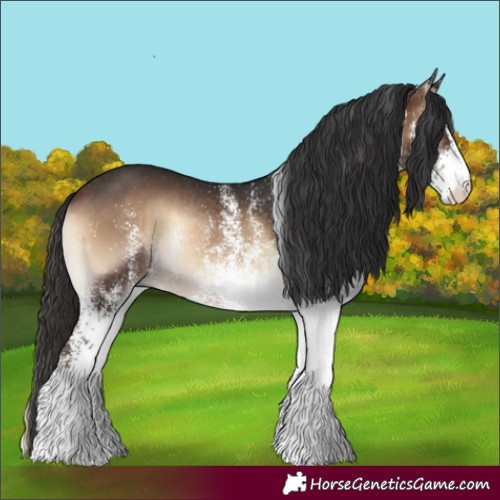 Horse Color:White Spotted Brown Onyx Rabicano 