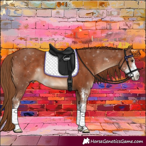 Horse Color:Chestnut Sabino