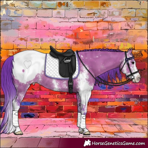 Horse Color:Watercolor Grullo Sabino Appaloosa 