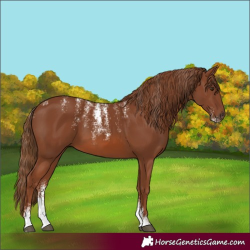 Horse Color:Powder White Chestnut 