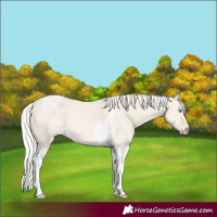 Horse Color:Cremello Dun Tobiano Rabicano 