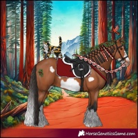 Horse Color:Bay Splash Frame 