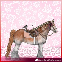 Horse Color:White Spotted Chestnut 
