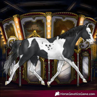 Horse Color:Black Splash Tobiano