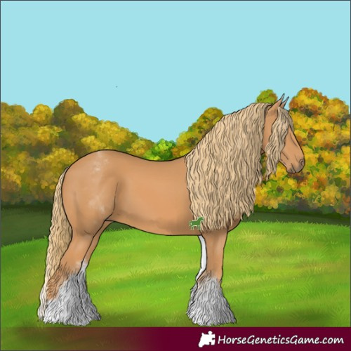 Horse Color:Unknown 