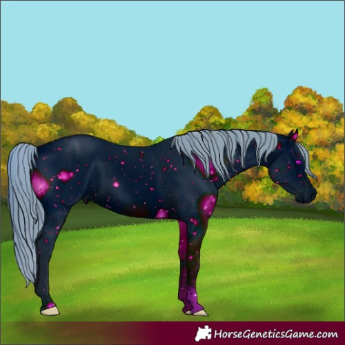 Horse Color:ERROR: UNKNOWN ANOMALY