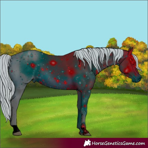 Horse Color:ERROR: UNKNOWN ANOMALY