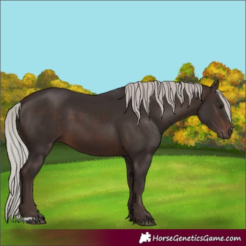 Horse Color:Silver Brown 