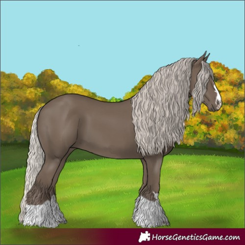 Horse Color:Silver Black 
