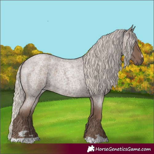 Horse Color:Silver Blue Roan 