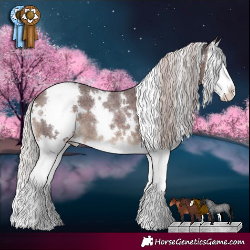 Horse Color:White Spotted Chocolate Silver Brown Roan Splash 