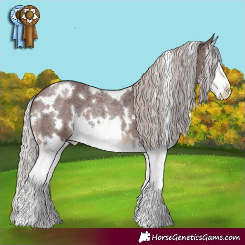 Horse Color:White Spotted Chocolate Silver Brown Roan Splash 