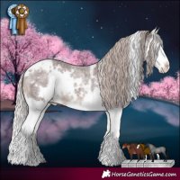 Horse Color:White Spotted Chocolate Silver Brown Roan Splash 