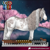 Horse Color:White Spotted Chocolate Silver Brown Roan Splash