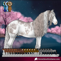 Horse Color:White Spotted Chocolate Silver Brown Roan Splash