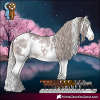 Horse Color:White Spotted Chocolate Silver Brown Roan Splash