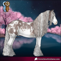 Horse Color:White Spotted Chocolate Silver Brown Roan Splash 