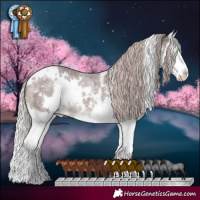 Horse Color:White Spotted Chocolate Silver Brown Roan Splash