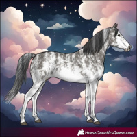 Horse Color:Grullo Sabino Splash  and Grullo Sabino Splash Frame 