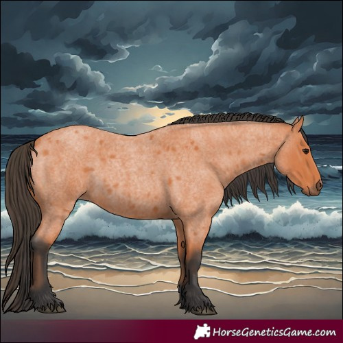Horse Color:Bay Roan 
