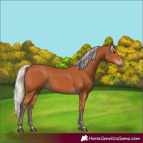 Horse Color:Silver Bay