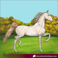 Horse Color:Smoky Blue Roan Pearl