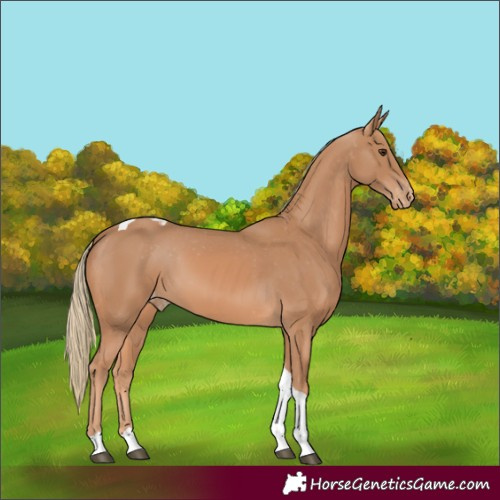 Horse Color:Chestnut Mushroom Tobiano Varnish 