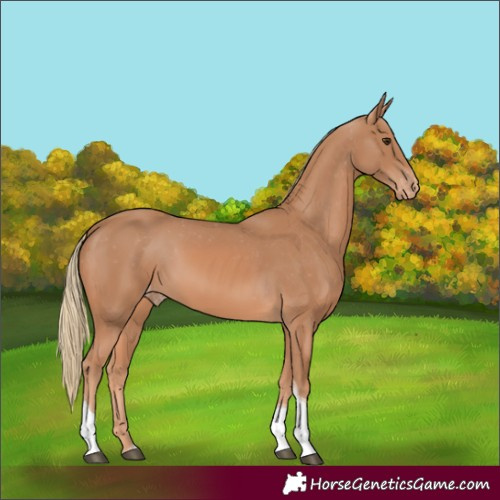 Horse Color:Chestnut Mushroom Tobiano Varnish 