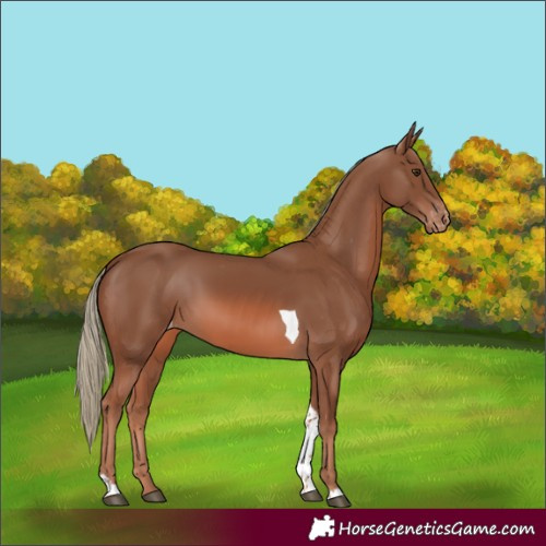 Horse Color:Chestnut Mushroom Tobiano Varnish 